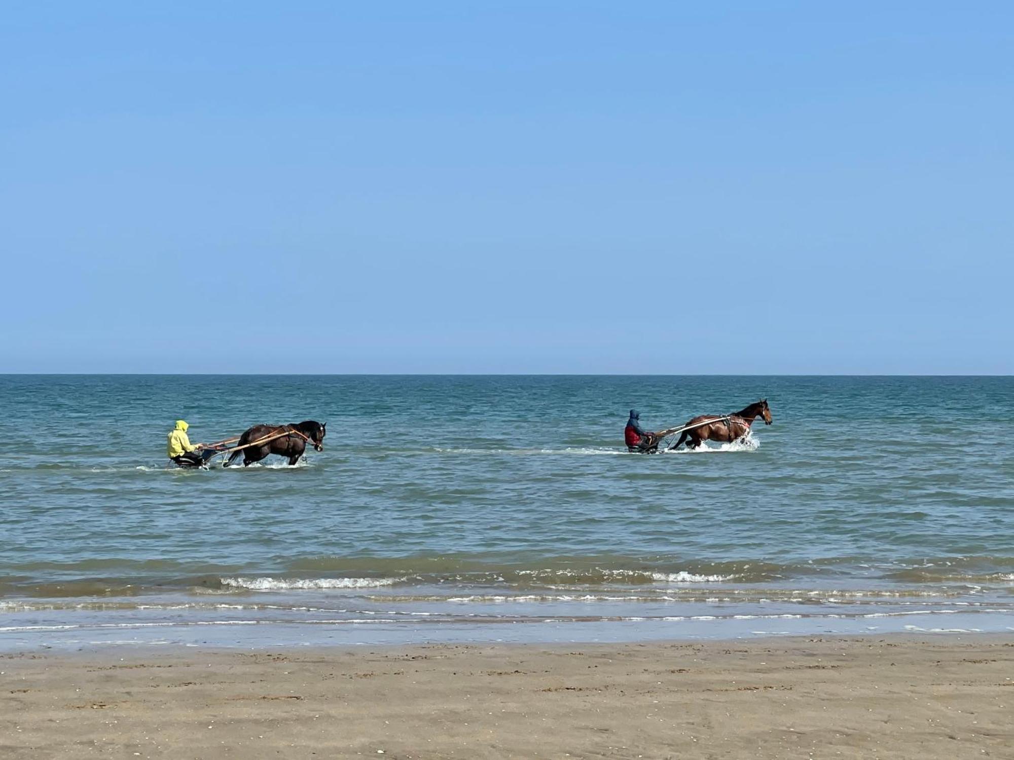 Pressoir De La Mare Superhote 12 Minutes De Cabourg Goustranville Екстериор снимка